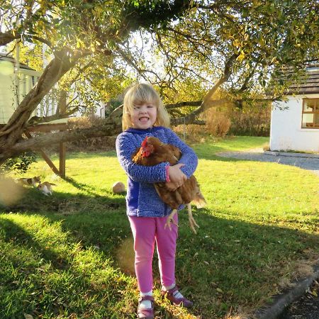 Heatherhill Farm Cottage In Letterfrack Beside Connemara National Park מראה חיצוני תמונה