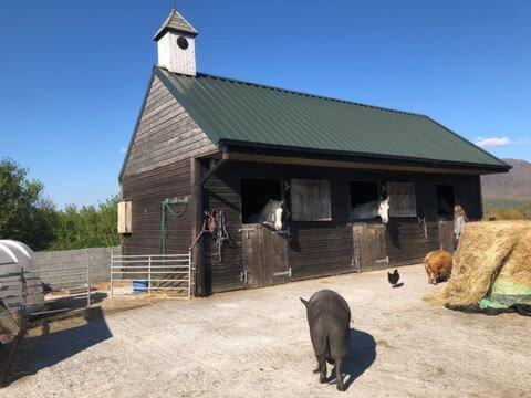 Heatherhill Farm Cottage In Letterfrack Beside Connemara National Park מראה חיצוני תמונה